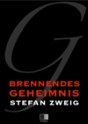 Brennendes Geheimnis - eBook