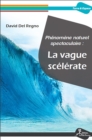 Phenomene naturel spectaculaire : la vague scelerate - eBook