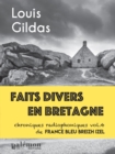 Faits divers en Bretagne - Volume 4 : Chroniques radiophoniques de France Bleu Breizh Izel - eBook