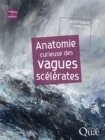Anatomie curieuse des vagues scelerates - eBook