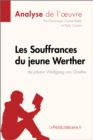 Les Souffrances du jeune Werther de Goethe (Analyse de l'œuvre) : Analyse complete et resume detaille de l'oeuvre - eBook