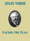 Facing the Flag - eBook