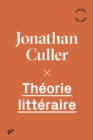 Theorie litteraire - eBook