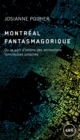 Montreal fantasmagorique : Ou la part d'ombre des animations lumineuses urbaines - eBook