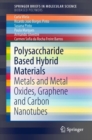 Polysaccharide Based Hybrid Materials : Metals and Metal Oxides, Graphene and Carbon Nanotubes - eBook