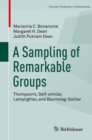A Sampling of Remarkable Groups : Thompson's, Self-similar, Lamplighter, and Baumslag-Solitar - eBook