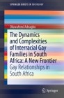 The Dynamics and Complexities of Interracial Gay Families in South Africa: A New Frontier : Gay Relationships in South Africa - eBook