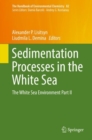Sedimentation Processes in the White Sea : The White Sea Environment Part II - eBook