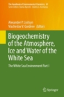 Biogeochemistry of the Atmosphere, Ice and Water of the White Sea : The White Sea Environment Part I - eBook