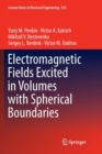 Electromagnetic Fields Excited in Volumes with Spherical Boundaries - Book