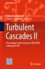 Turbulent Cascades II : Proceedings of the Euromech-ERCOFTAC Colloquium 589 - eBook