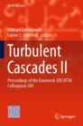 Turbulent Cascades II : Proceedings of the Euromech-ERCOFTAC Colloquium 589 - Book