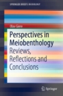 Perspectives in Meiobenthology : Reviews, Reflections and Conclusions - eBook