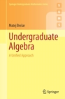 Undergraduate Algebra : A Unified Approach - Book