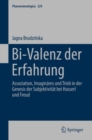 Bi-Valenz der Erfahrung : Assoziation, Imaginares und Trieb in der Genesis der Subjektivitat bei Husserl und Freud - eBook