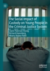 The Social Impact of Custody on Young People in the Criminal Justice System - Book