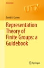 Representation Theory of Finite Groups: a Guidebook - eBook