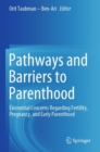 Pathways and Barriers to Parenthood : Existential Concerns Regarding Fertility, Pregnancy, and Early Parenthood - Book