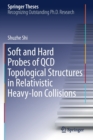 Soft and Hard Probes of QCD Topological Structures in Relativistic Heavy-Ion Collisions - Book