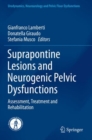 Suprapontine Lesions and Neurogenic Pelvic Dysfunctions : Assessment, Treatment and Rehabilitation - Book