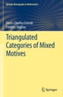 Triangulated Categories of Mixed Motives - Book