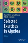 Selected Exercises in Algebra : Volume 1 - Book