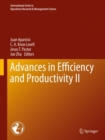 Advances in Efficiency and Productivity II - eBook