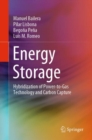 Energy Storage : Hybridization of Power-to-Gas Technology and Carbon Capture - eBook