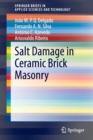 Salt Damage in Ceramic Brick Masonry - Book