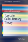 Topics in Gallai-Ramsey Theory - Book