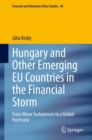 Hungary and Other Emerging EU Countries in the Financial Storm : From Minor Turbulences to a Global Hurricane - eBook
