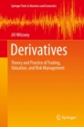 Derivatives : Theory and Practice of Trading, Valuation, and Risk Management - eBook