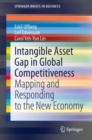 Intangible Asset Gap in Global Competitiveness : Mapping and Responding to the New Economy - Book