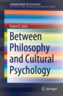 Between Philosophy and Cultural Psychology - eBook