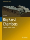 Big Karst Chambers : Examples, Genesis, Stability - Book