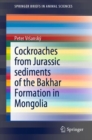 Cockroaches from Jurassic sediments of the Bakhar Formation in Mongolia - Book
