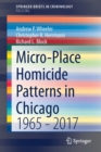 Micro-Place Homicide Patterns in Chicago : 1965 - 2017 - Book
