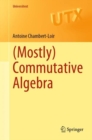 (Mostly) Commutative Algebra - eBook