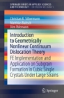 Introduction to Geometrically Nonlinear Continuum Dislocation Theory : FE Implementation and Application on Subgrain Formation in Cubic Single Crystals Under Large Strains - Book
