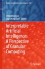 Interpretable Artificial Intelligence: A Perspective of Granular Computing - eBook