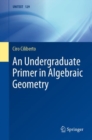 An Undergraduate Primer in Algebraic Geometry - Book