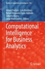 Computational Intelligence for Business Analytics - eBook