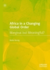 Africa in a Changing Global Order : Marginal but Meaningful? - eBook