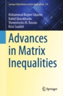 Advances in Matrix Inequalities - eBook