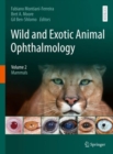 Wild and Exotic Animal Ophthalmology : Volume 2: Mammals - Book