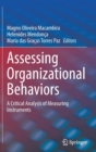 Assessing Organizational Behaviors : A Critical Analysis of Measuring Instruments - Book