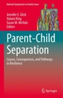 Parent-Child Separation : Causes, Consequences, and Pathways to Resilience - eBook