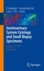 Genitourinary System Cytology and Small Biopsy Specimens - eBook