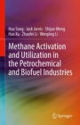 Methane Activation and Utilization in the Petrochemical and Biofuel Industries - eBook