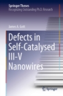 Defects in Self-Catalysed III-V Nanowires - eBook